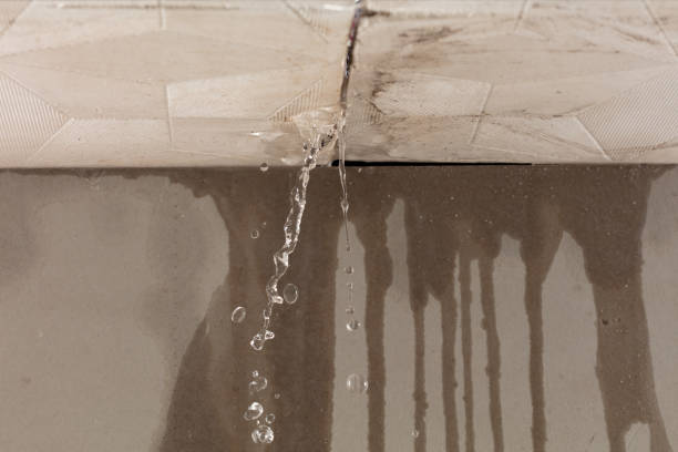 Professional Burst Pipe Cleanup technician working in Riegelsville, PA
